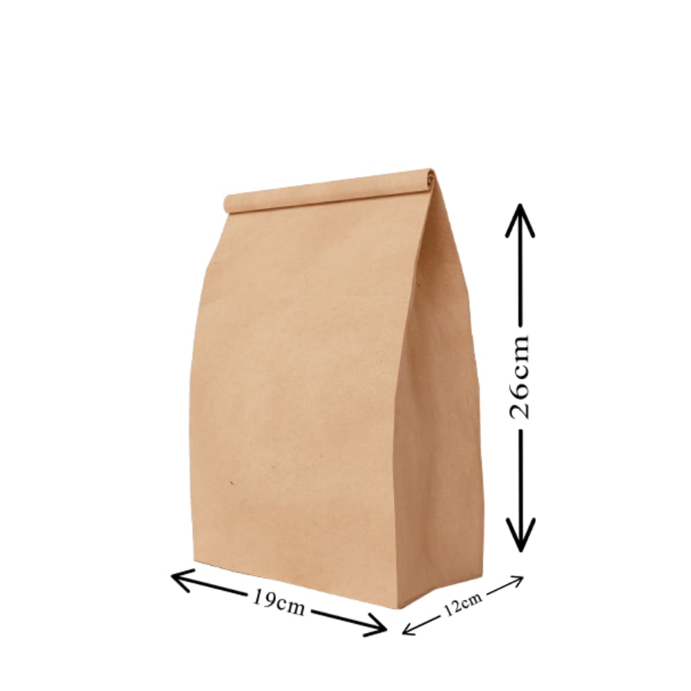 Saco Kraft M 19x12x26cm c/50un