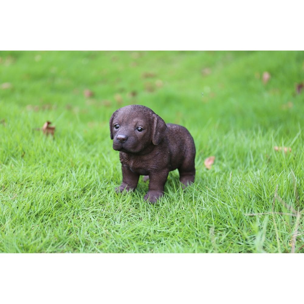 Estatueta Hi-Line Gift Ltd Labrador Puppy Brown Polyresin