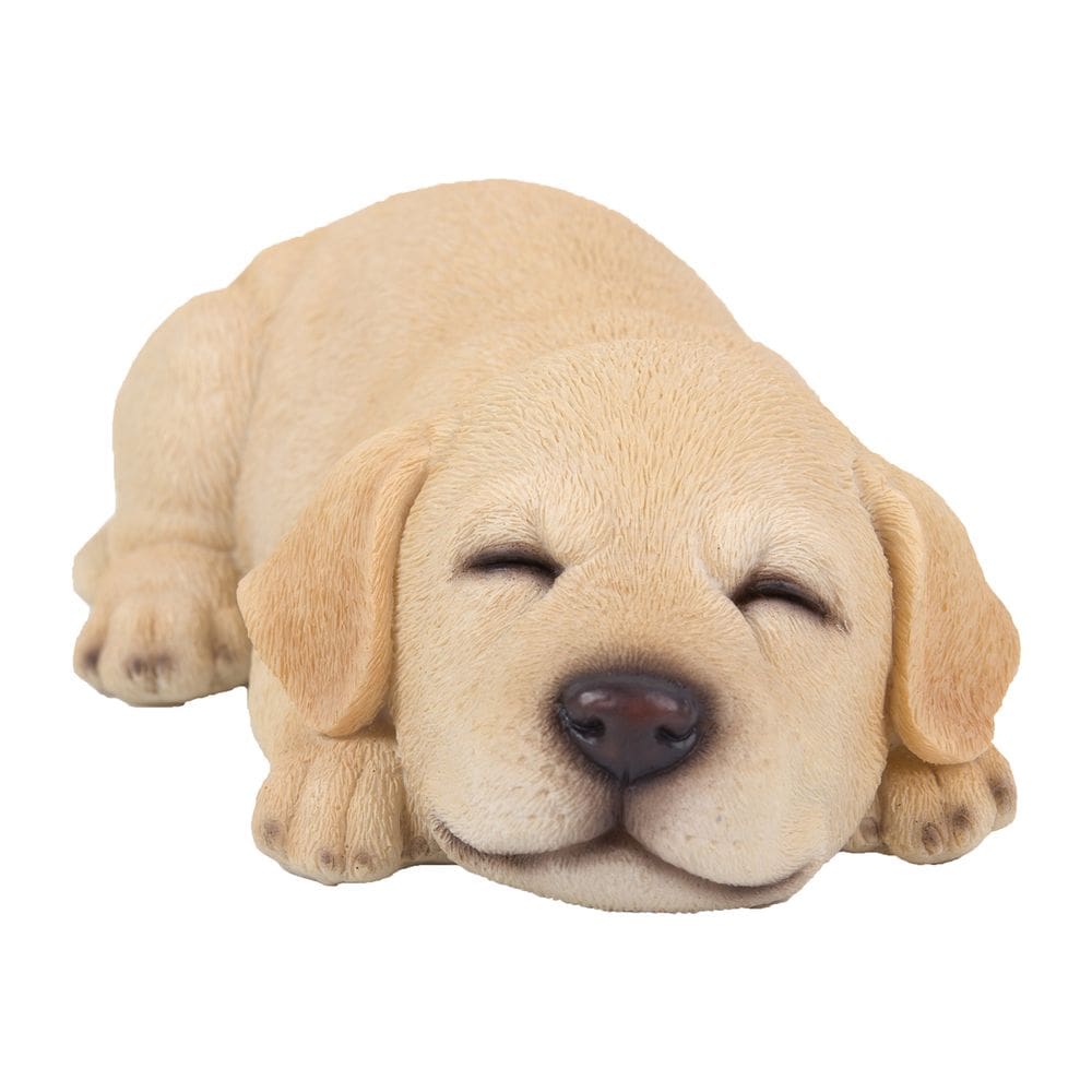 Estatueta Hi-Line Gift Ltd Sleeping Yellow Labrador Puppy