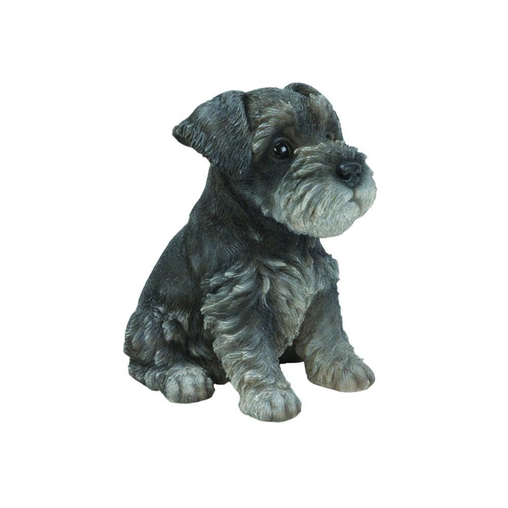 Estatueta Hi-Line Gift Ltd Schnauzer Puppy 18 cm cinza