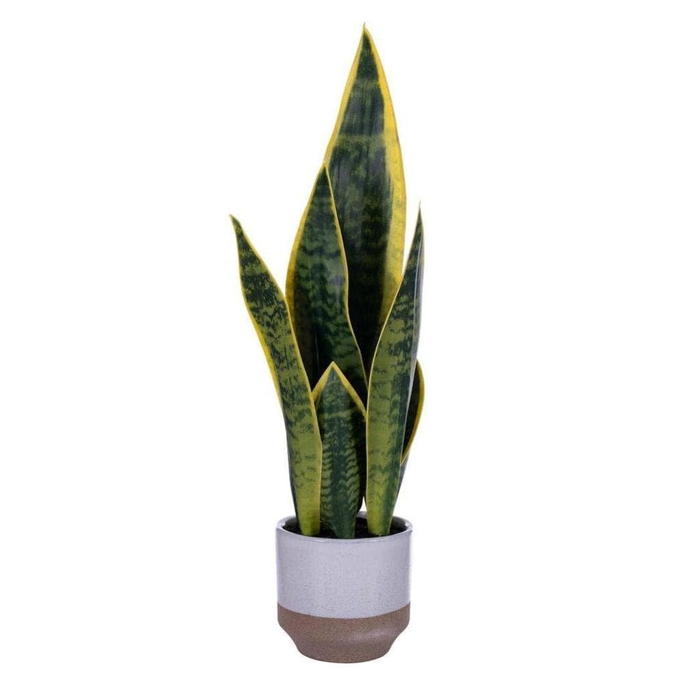 Planta artificial Vickerman Snake Plant 52 cm verde