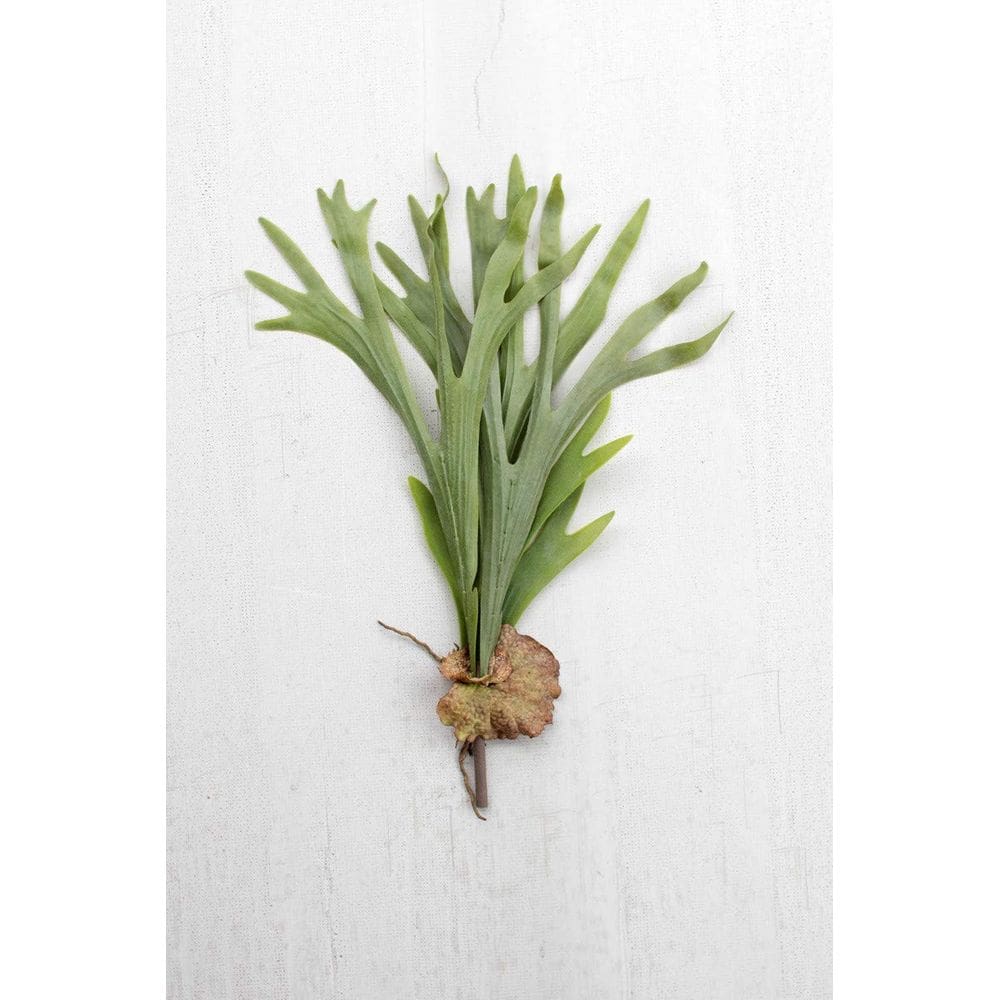 Planta artificial KALALOU CYF1061 Staghorn Fern 62cm