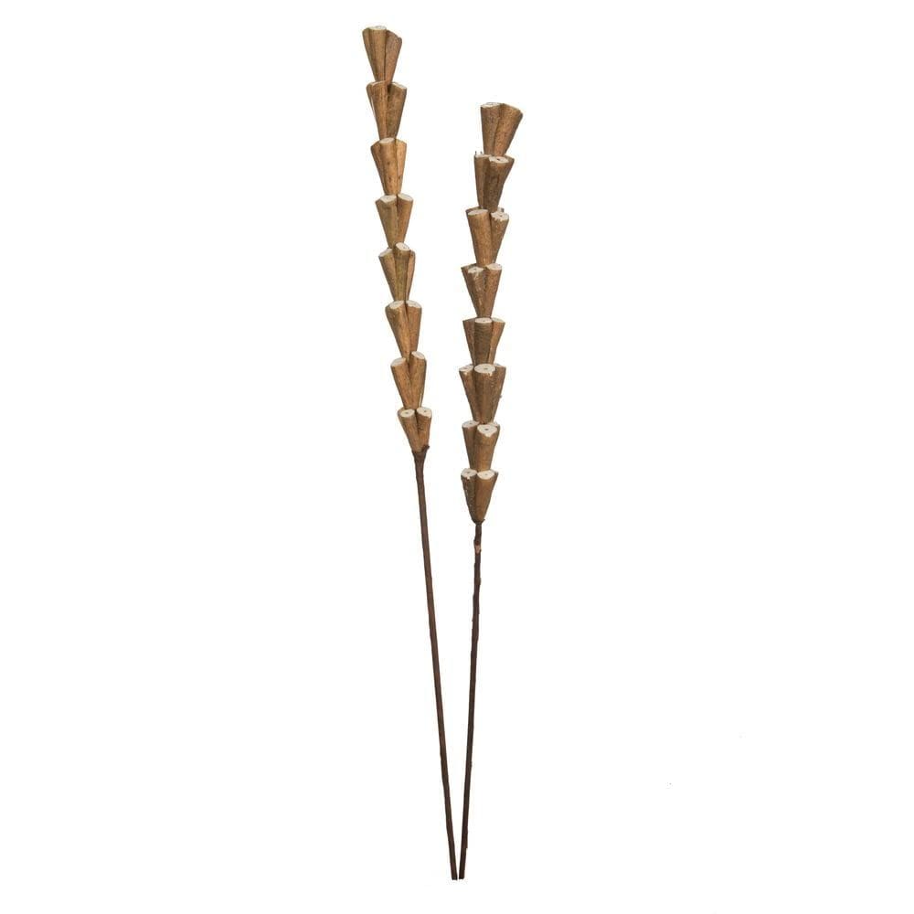 Plantas secas Vickerman 24 Natural Sola Rajani Sticks