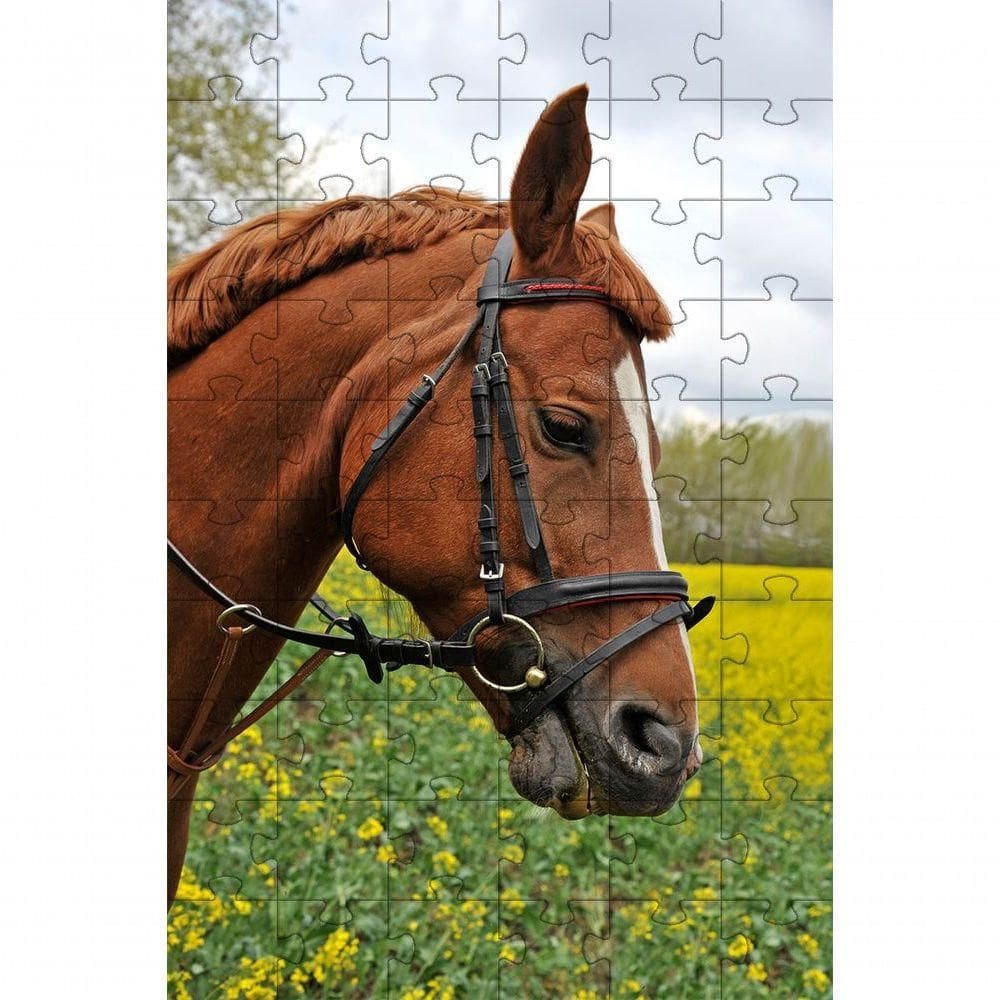 Kit 2 Quebra-cabeça Inclusivos Beleza Dos Cavalos Em 24 Peças Grandes