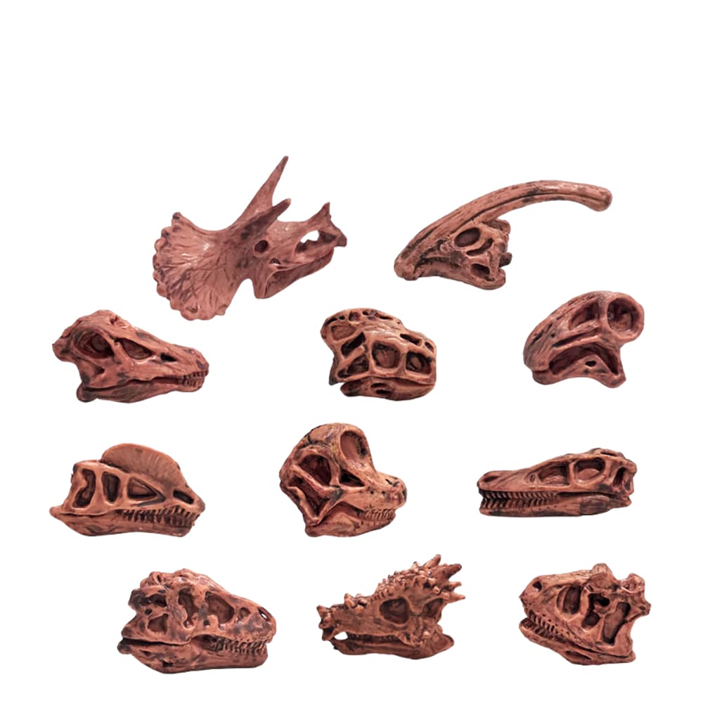 Conjunto de estatuetas de caveira de dinossauro, 11 unidades, modelos de ossos realistas