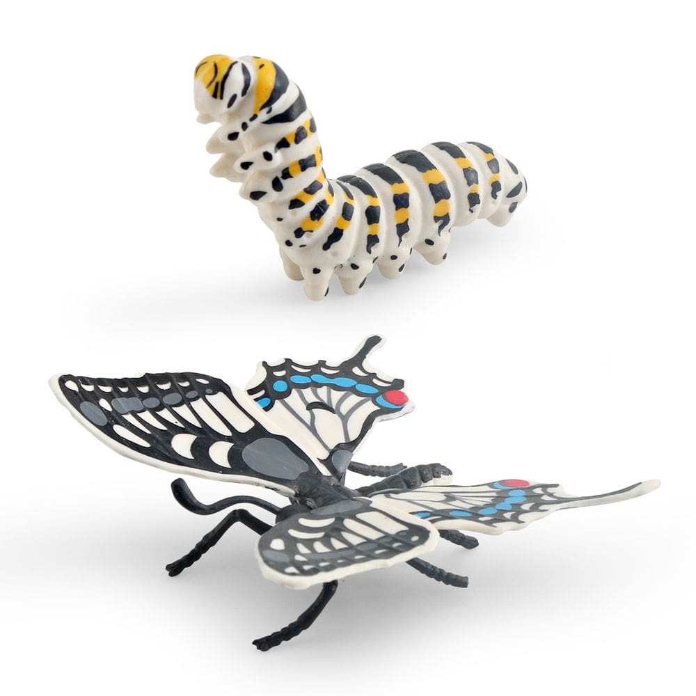 Conjunto de figuras Butterfly Life Cycle, brinquedo educacional para crianças em PVC