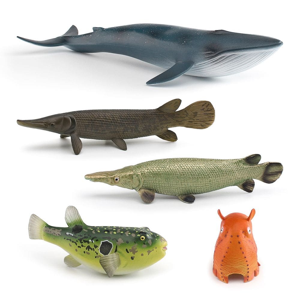 Conjunto de estatuetas de animais oceânicos, 5 peças de modelos de PVC para crianças de 3 anos ou mais