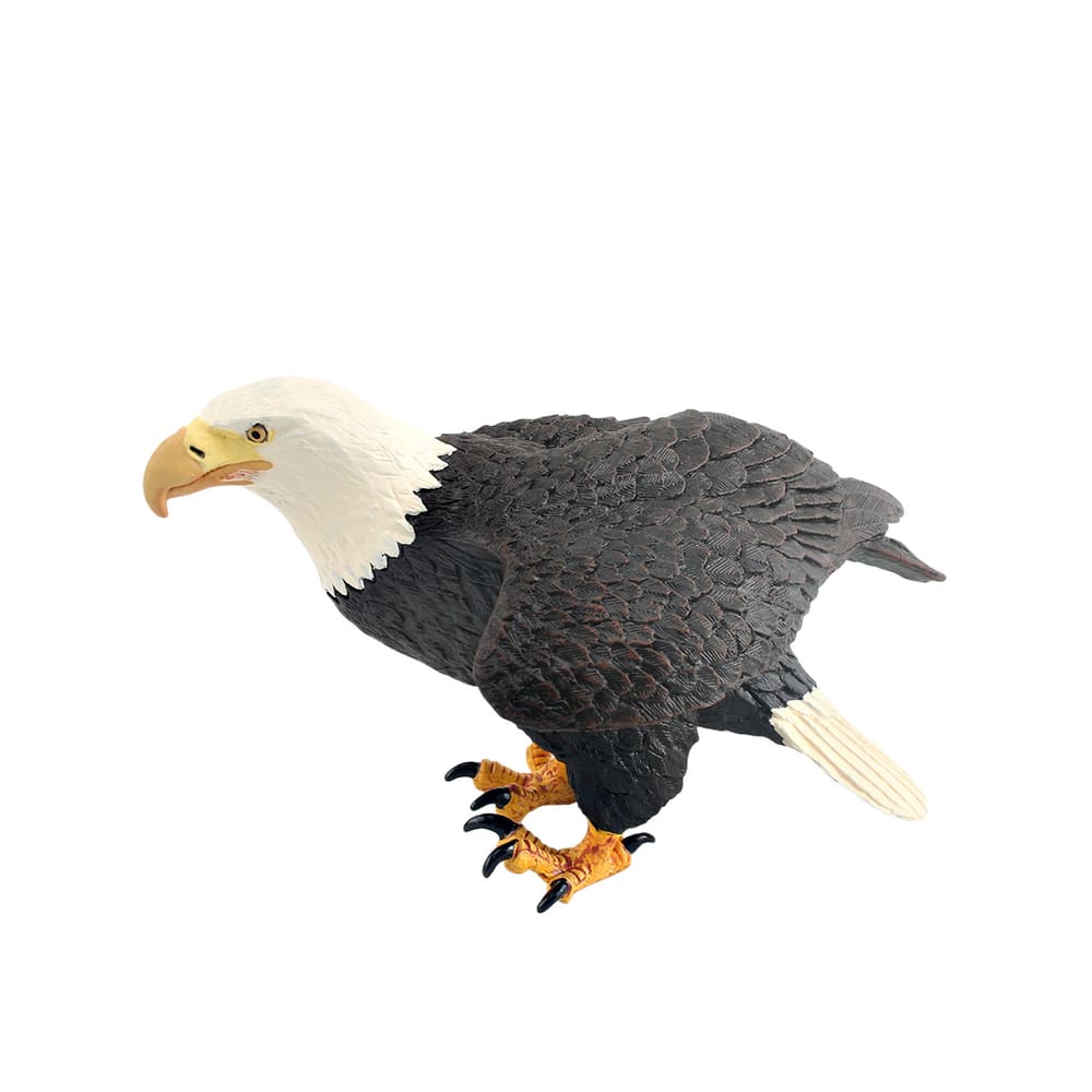 Estatueta realista de águia careca em PVC modelo de animal selvagem de 16,2 cm