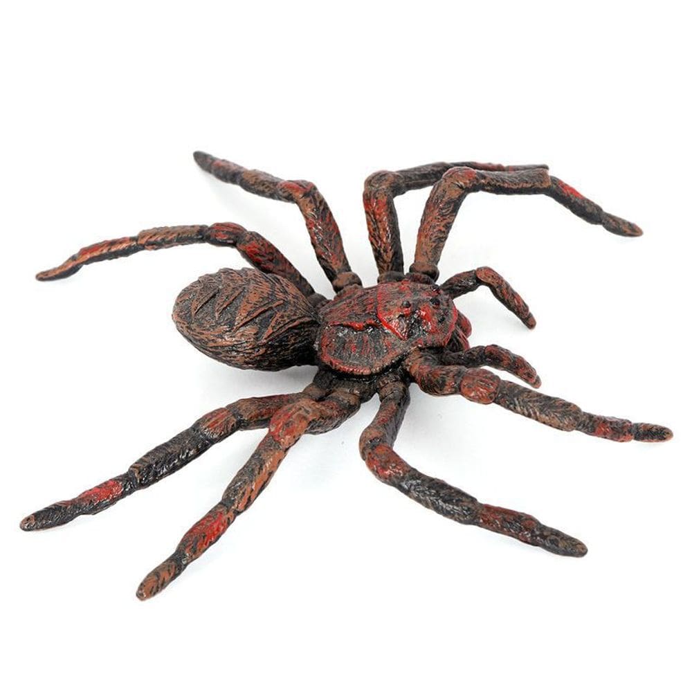 Estatueta realista Wolf Spider PVC Bird Catcher Spider Mod