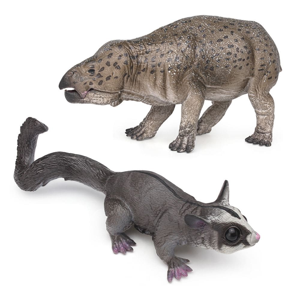 Conjunto realista de figuras de animais selvagens Sugar Glider Thylacine