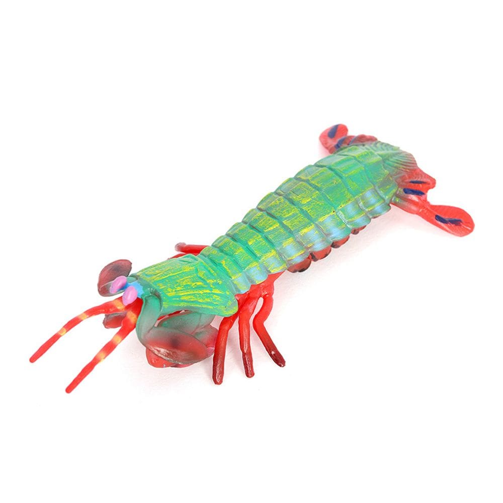 Estatueta realista de camarão Mantis, modelo de animal oceânico em PVC