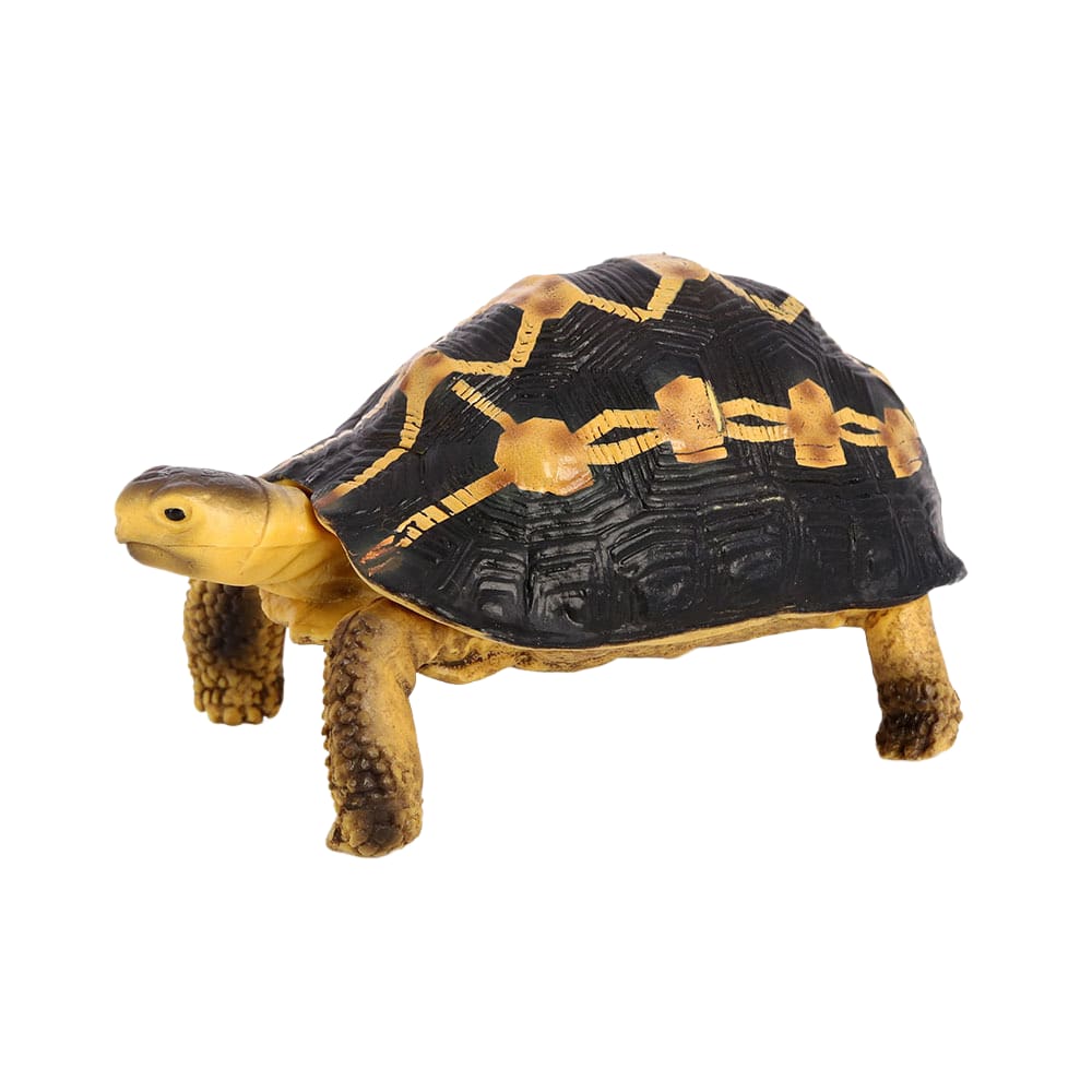 Estatueta realista de tartaruga indiana em PVC de 10,5 cm para crianças