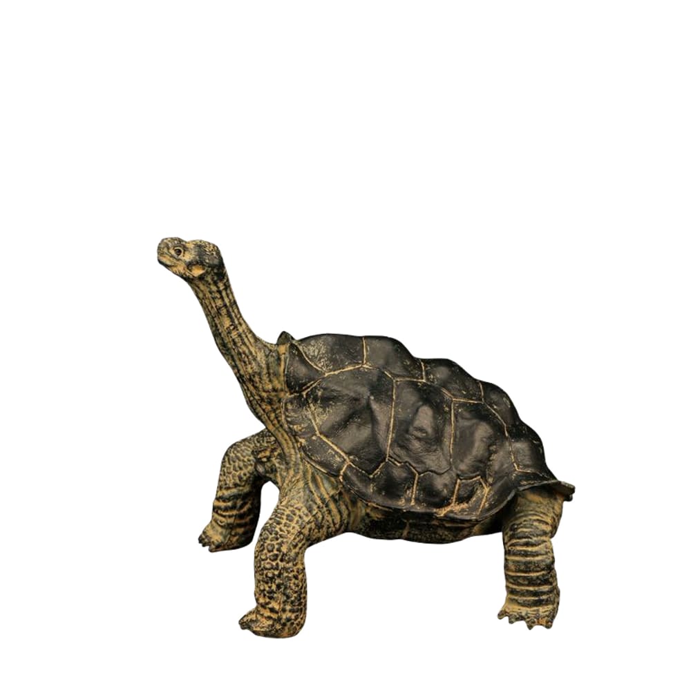 Estatueta realista de tartaruga, modelo anfíbio de PVC para crianças