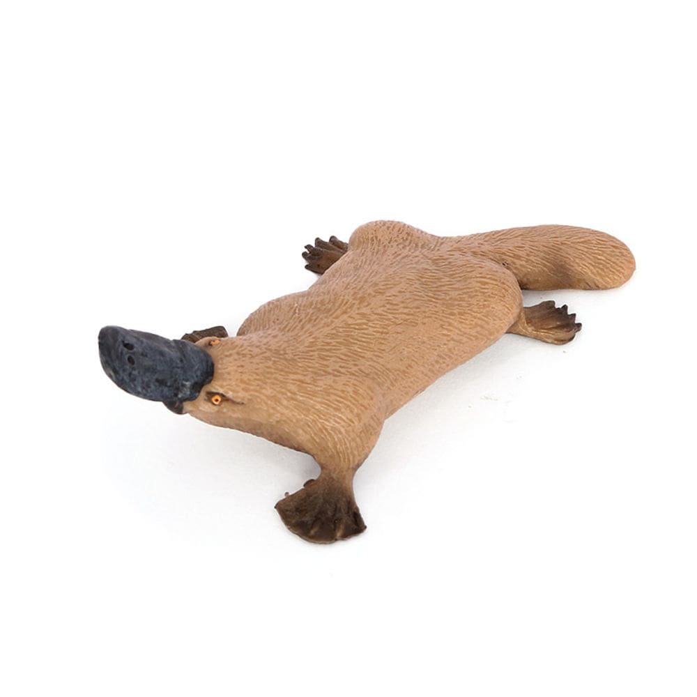 Estatueta Platypus, PVC, modelo de animal realista, educativa para crianças