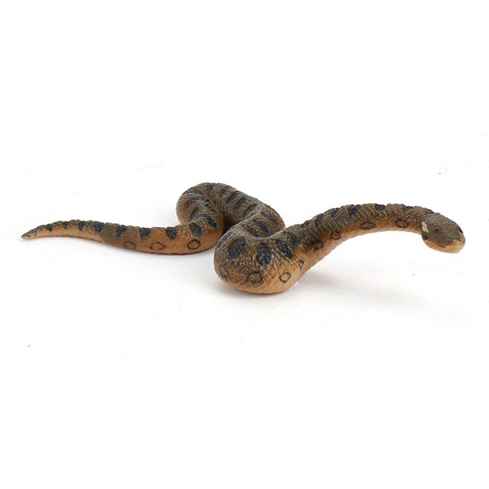 Figura realista: Anaconda, cobra, cobra, selva, vida selvagem, crianças