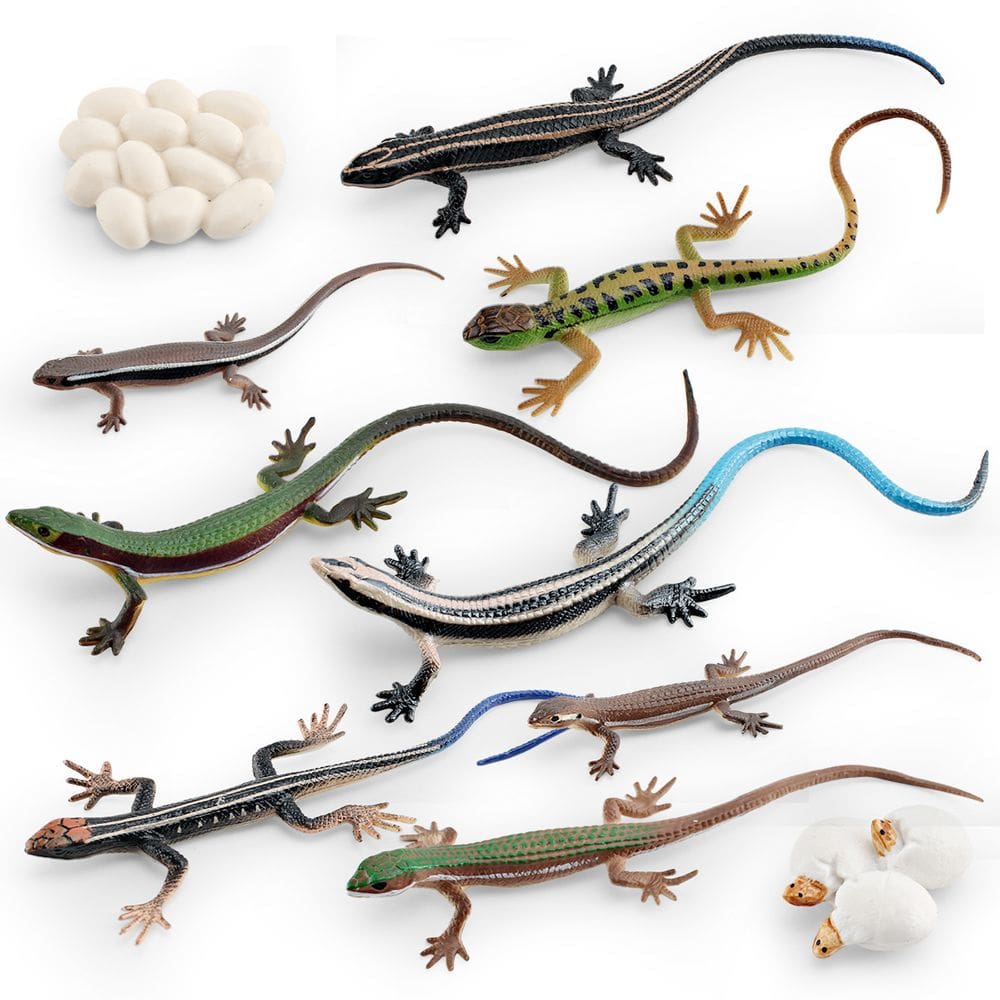 Conjunto de bonecos Lizard Life Cycle 8 peças Skinks Grass Lizards Kids