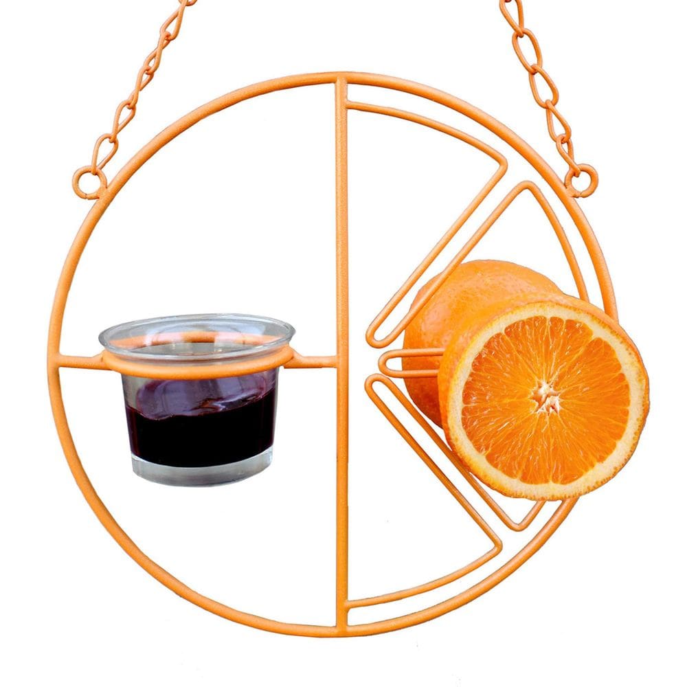 Alimentador de pássaros Heath Outdoor CF-133 Orange Clementine