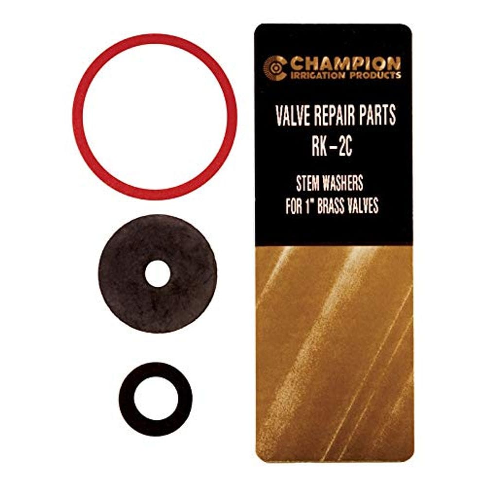 Kit de reparo de juntas de haste de válvula Champion RK-2C de 1 polegada