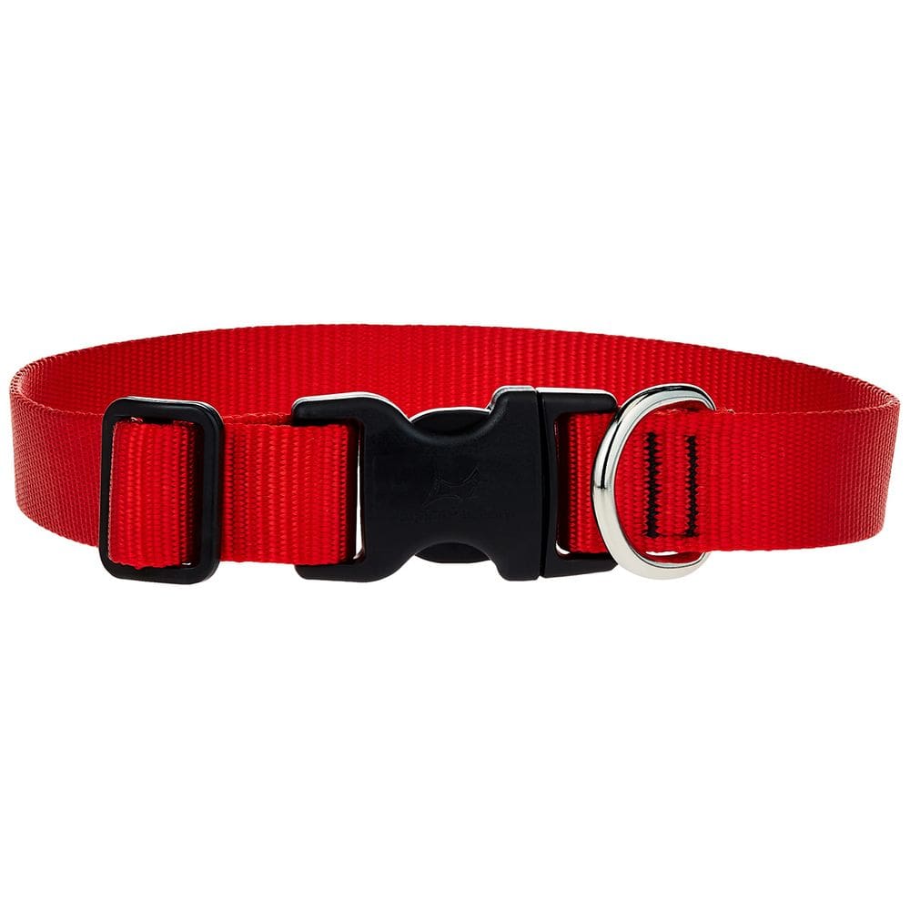 Coleira para cães LupinePet Basics vermelha 1” ajustável 12-20”