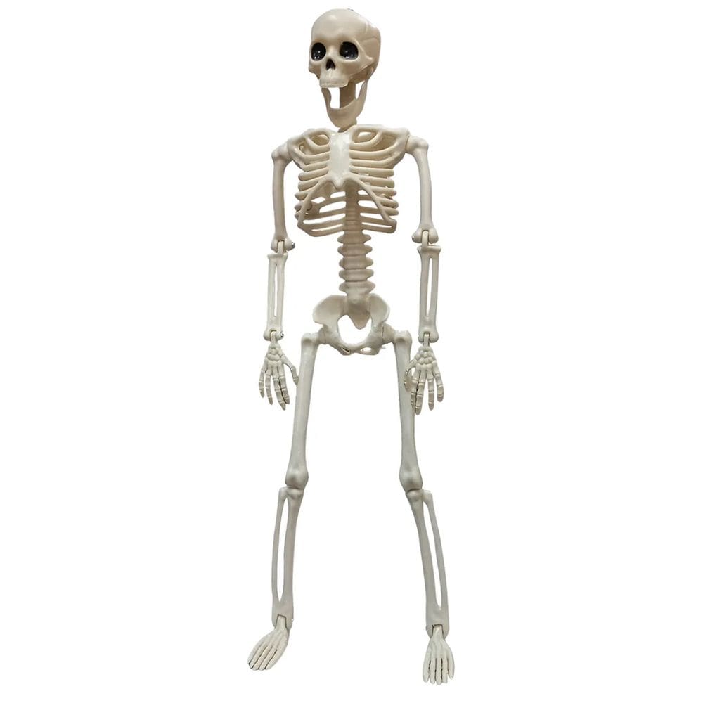 Esqueleto Halloween Dia das Bruxas Festa Tematica Caveira Corpo Humano Ossos Decoraçao Enfeite Diversao