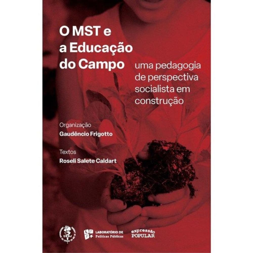 O Mst E A Educação No Campo