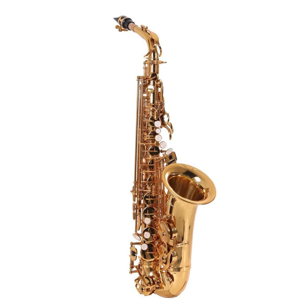 Saxofone Alto Zellmer Sib Laqueado Zas-600L