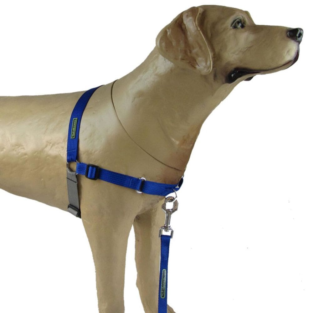 Peitoral modelo Easy Walk Anti Puxão K9 Spirit Azul Tam PX2