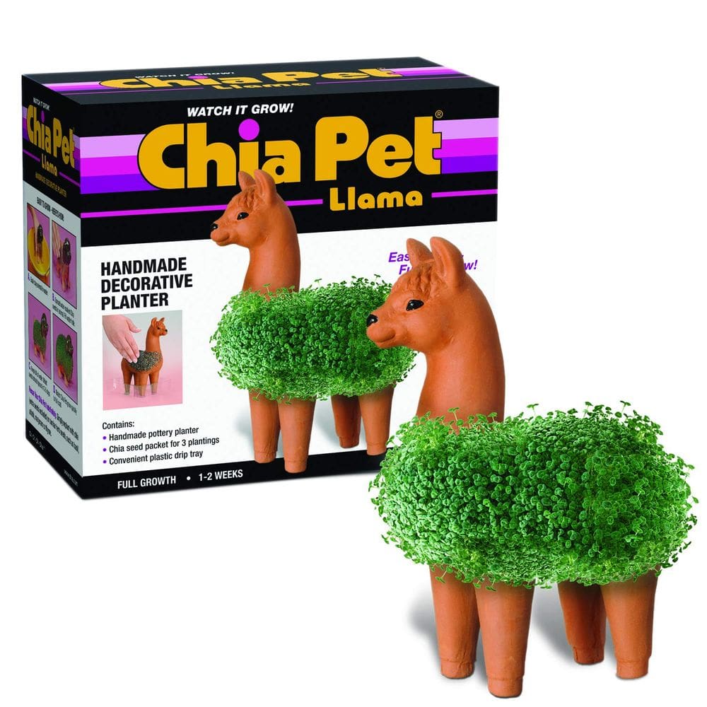 Plantador de chia Chia Pet CP439-01 Cerâmica decorativa de lhama