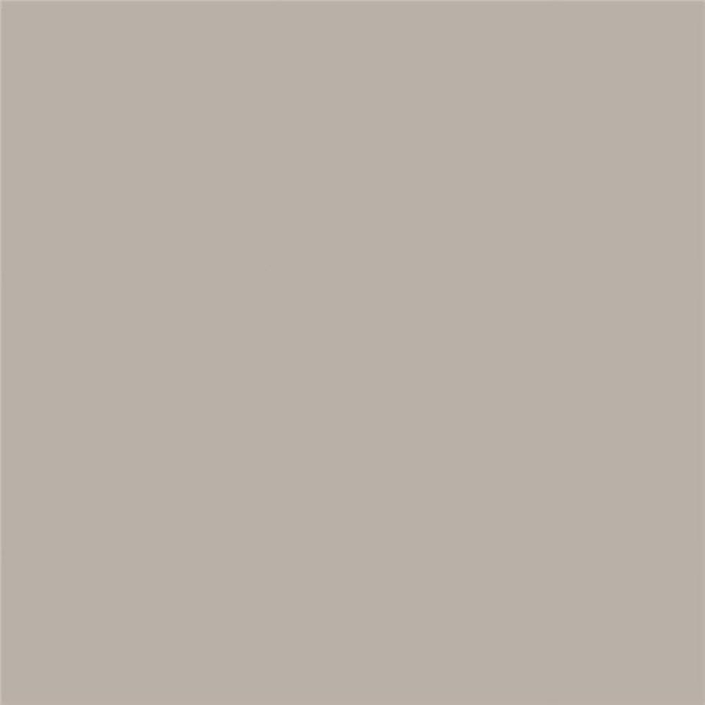Tinta SAMPLIZE PEEL&STICK SILVER FOX