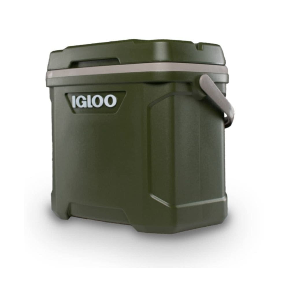 Refrigerador Igloo PLYTHYLN 28L Verde