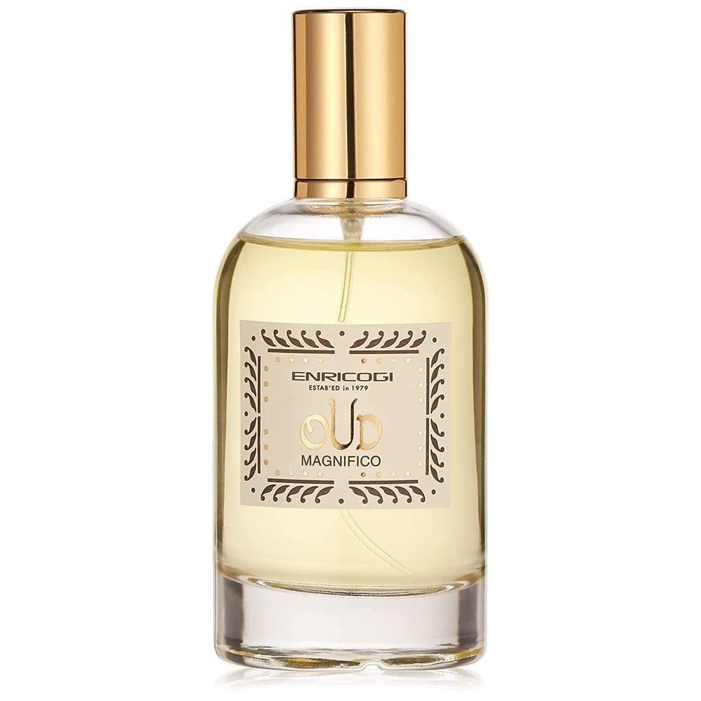 Perfume Enrico Gi Oud Magnifico Eau De Parfum 100ml para homens