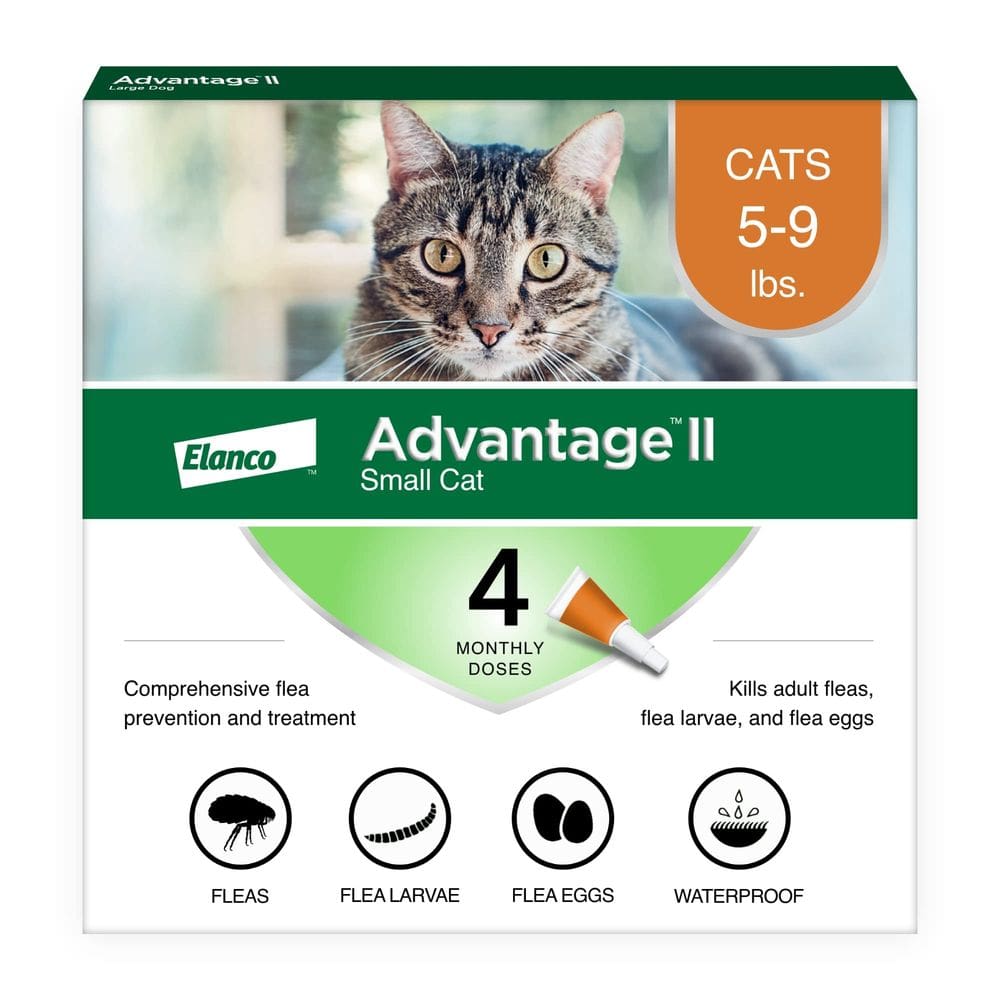 Tratamento e prevenção de pulgas Advantage II Small Cat 2kg-4kg