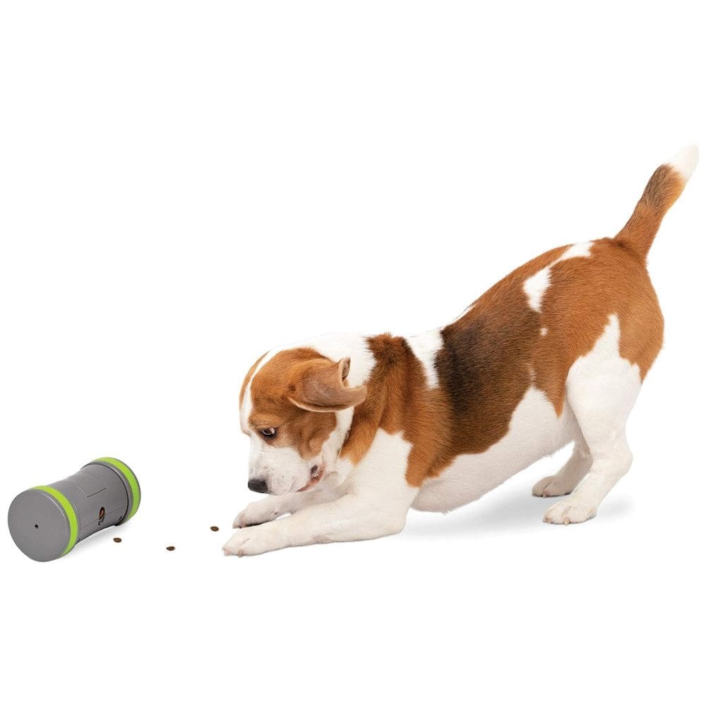 Brinquedo Interativo Automático para Cães, Dispensador de Petiscos, PETSAFE PTY00 16858, Cinza