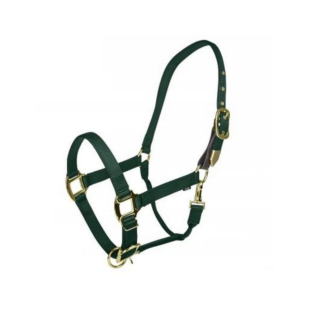 Gatsby Gold Safety Breakaway Halter Cob Hunter