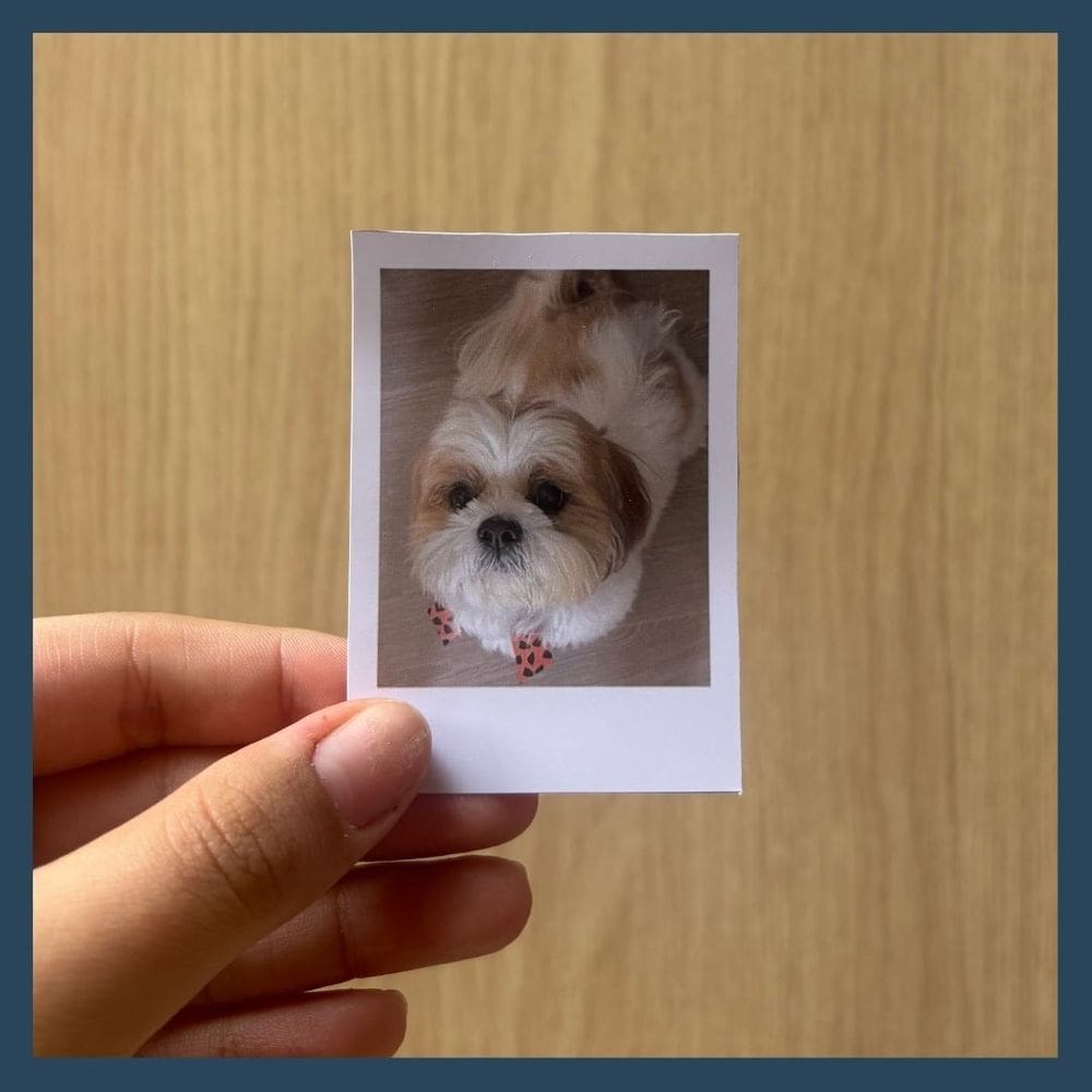 Fotos polaroid personalizadas/10 unidades/Tamanho P(5,3x7,5)/Alta resolução/Preto e branco ou tradicional