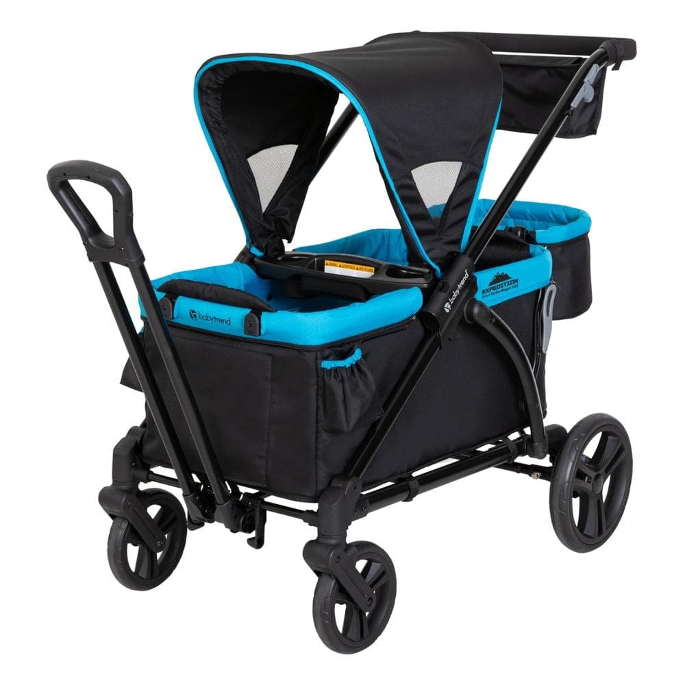 Carrinho de Passeio Infantil com Porta Objetos para Crianças de até 22 kg, BABY TREND WG01D15A, Azul