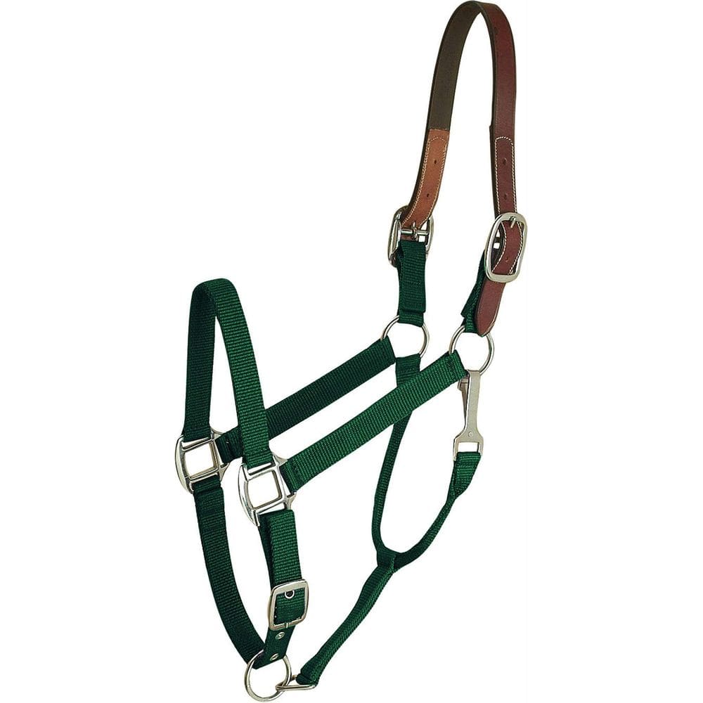 Horse Halter Gatsby Leather Company Breakaway Nylon 284131