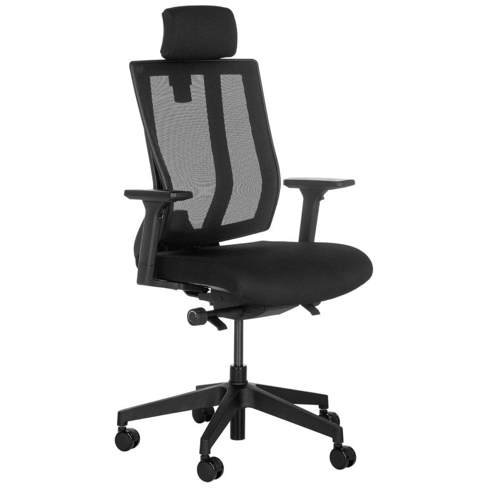 Cadeira de Escritório Ergonômica Giratória com Apoio de Braços e Suporte Lombar Ajustável, VARI, Preto