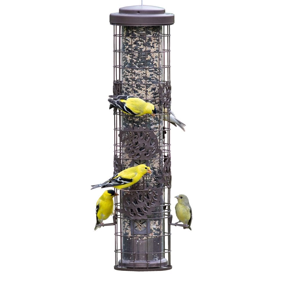 Alimentador de pássaros Perky-Pet SBG101 Squirrel Off Max 0,8 kg