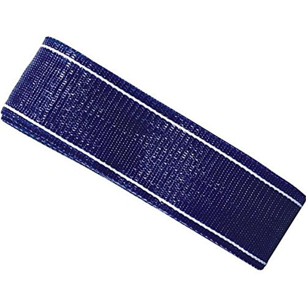Cadeira Webbing Frost King 39 pés azul branca