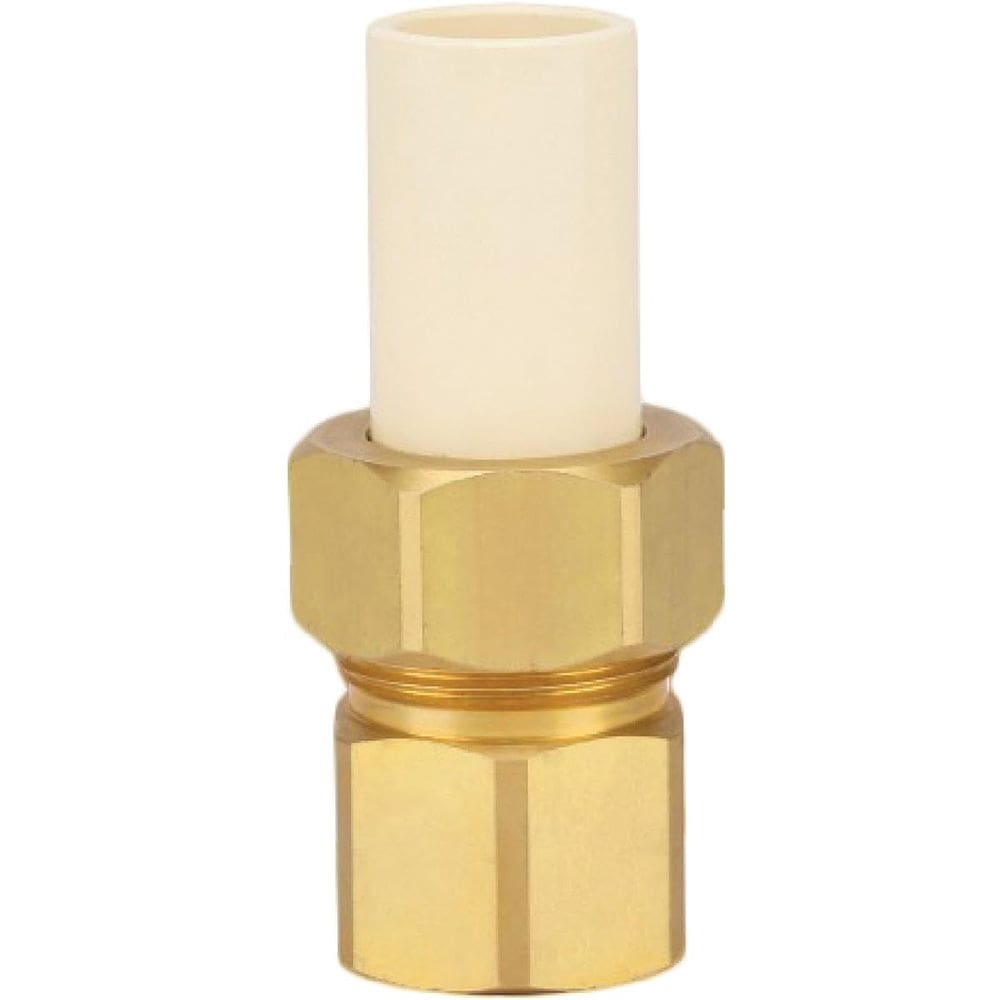 Encaixe F CPVC Trans Union 3/4” da Homewerks Worldwide