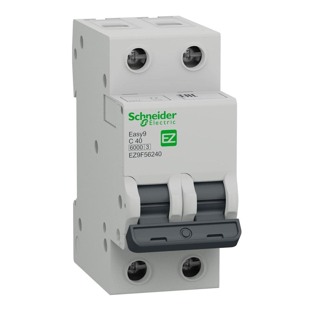 Mini Disjuntor Bipolar 40A Curva C Ez9F56240 Schneider