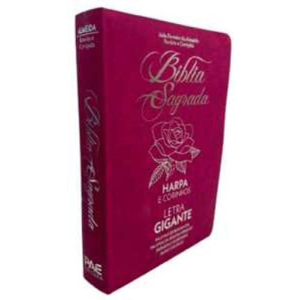 Livro Bíblia Sagrada Evangélica - Rosa