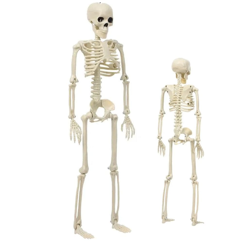 Esqueleto Caveira Halloween Dia das Bruxas Festa Tematica Ossos Corpo Humano Enfeite Decoraçao Terror Porta Entrada