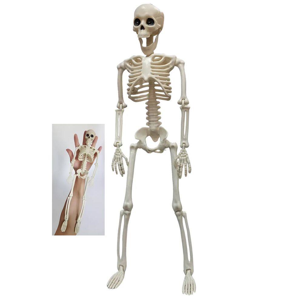 Esqueleto Halloween Dia das Bruxas Caveira Festa Tematica Corpo Humano Decoraçao Entrada Janela Ossos Enfeite