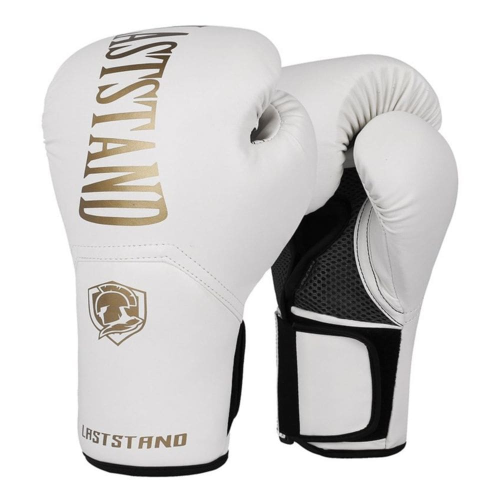 Luvas de boxe Kickboxing Muay Thai 14 onças de couro premium