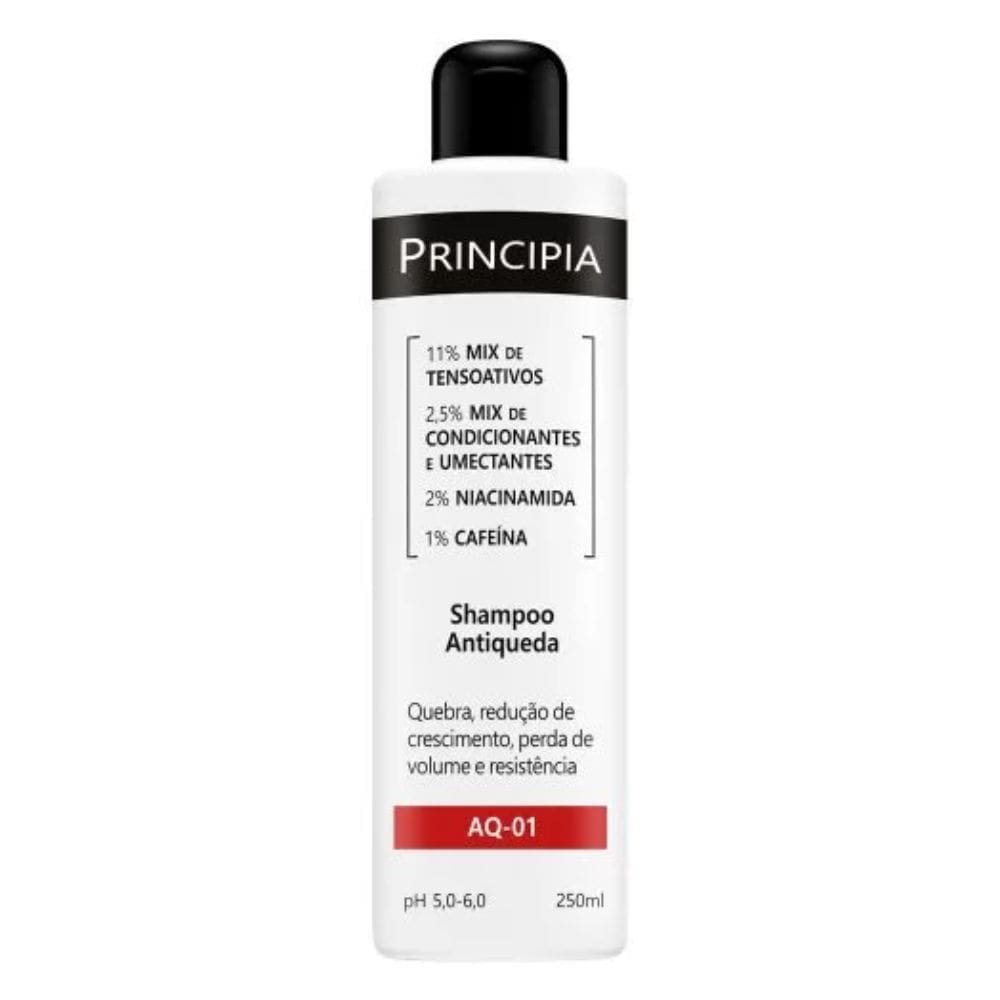 Shampoo Principia Antiqueda AQ 01 250ml