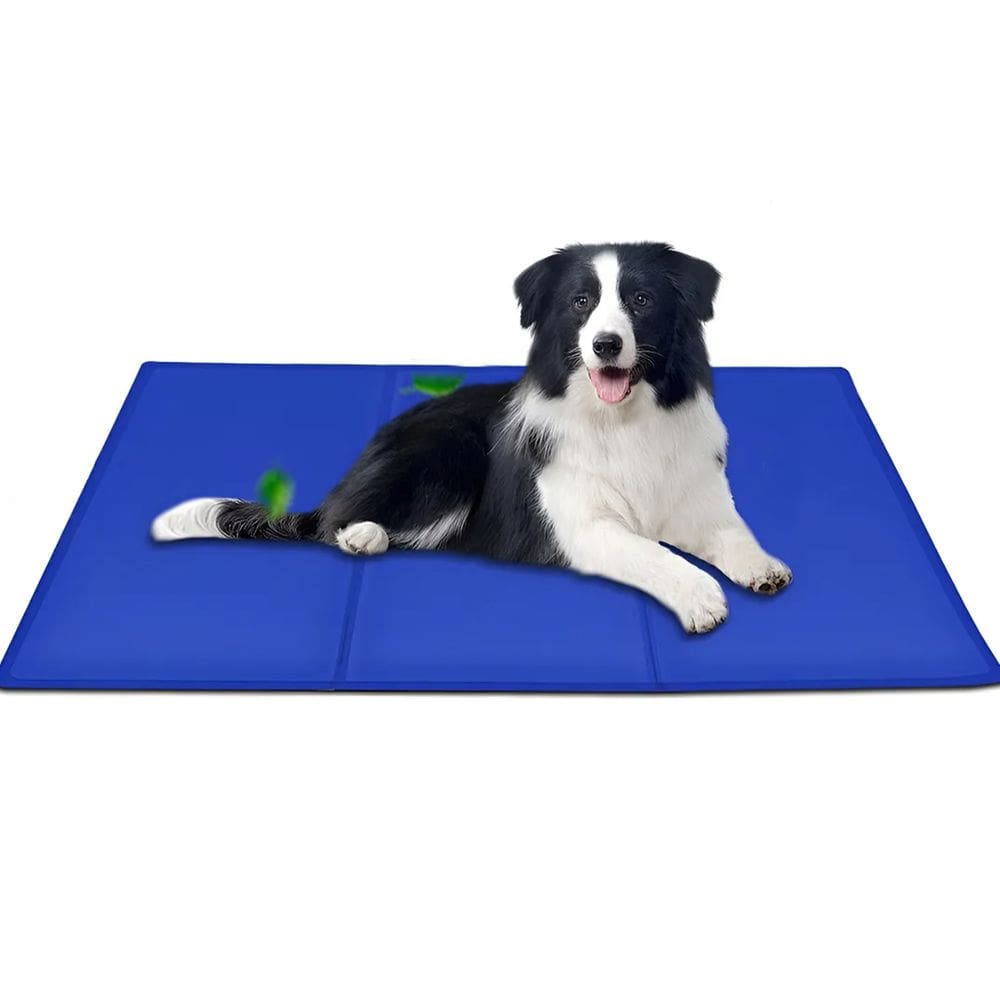 Tapete Refrescante Gelado Cachorro Cao Gato Pet Animais Estimaçao Verao Sol Dias Quente Colchonete Macio Confortavel