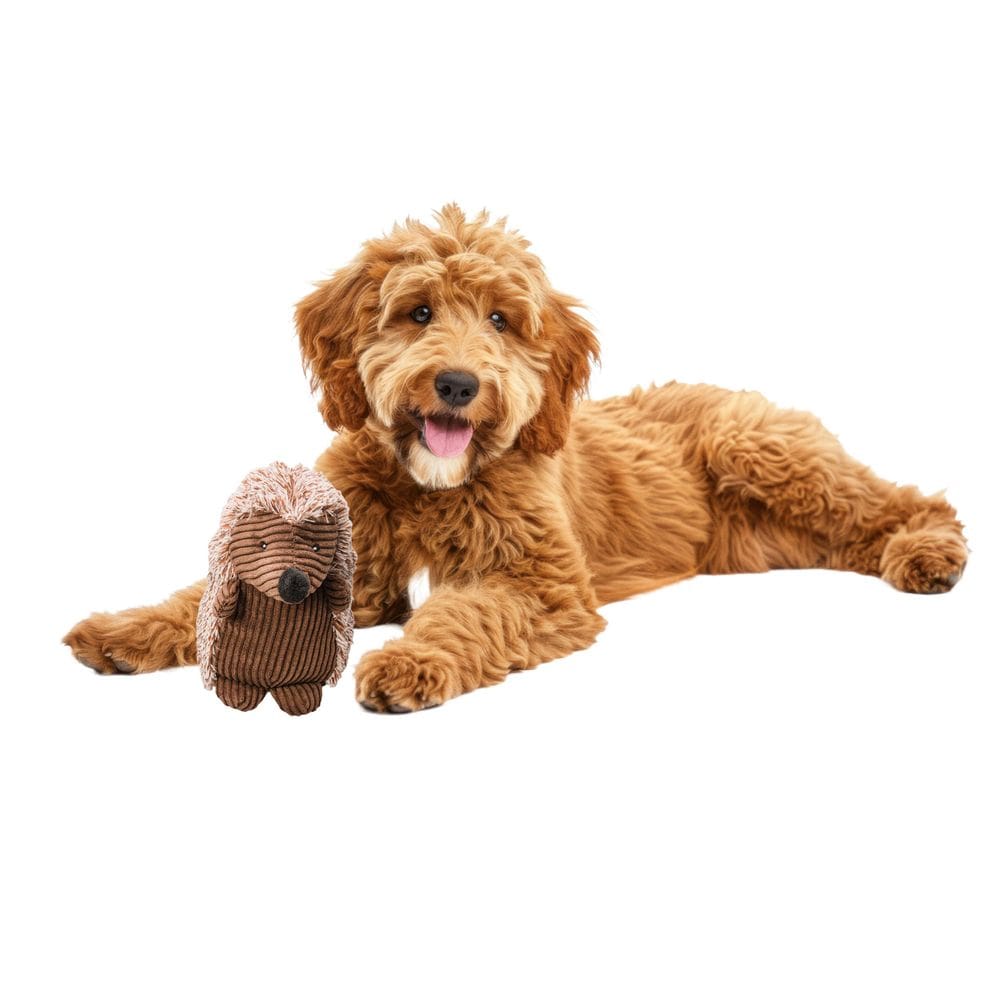 Brinquedo para cães SPOT Hedgehog Veludo de pelúcia com guincho de 20 cm