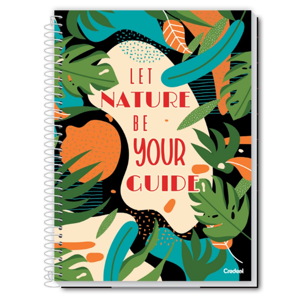 Kit C/3 Cadernos 10 Matérias 160 Folhas Feminino Credeal